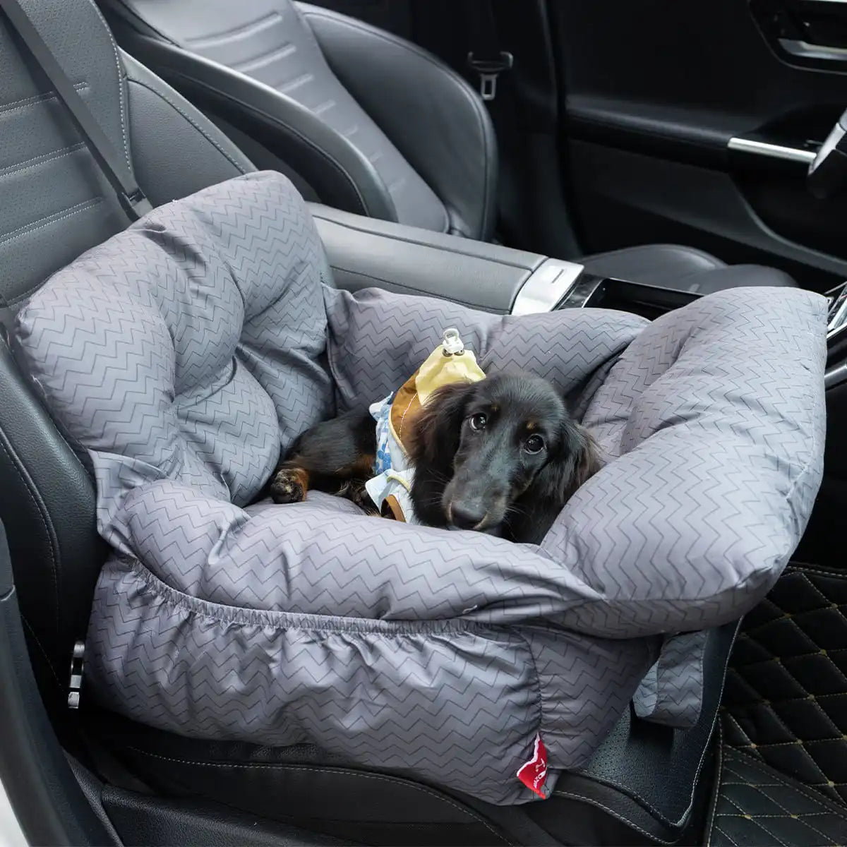 2-in-1 Dog Car Seat/ Carrier Bag - Detachable with Handles and Safety Belt- Travel Dog Booster Seat for Small Medium Dogs Cats