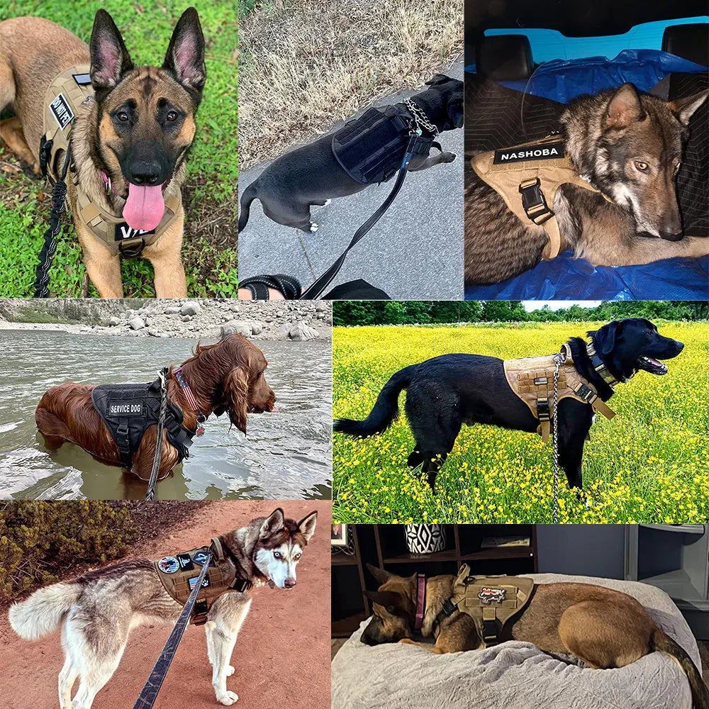 Military Dog Harness/ Collar/ Leash- Bags- Patches Set- Pet Malinois Training Vests-Sizes S to XL- Collars/Leashes