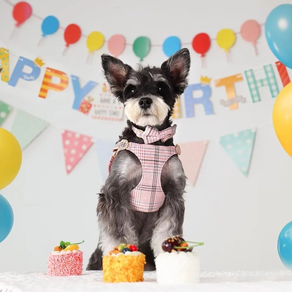 Cute Small Dog Harness Collar Leash Set Adjustable Soft Plaid Design XS Dogs Cats Perfect Walks Parties size XXS