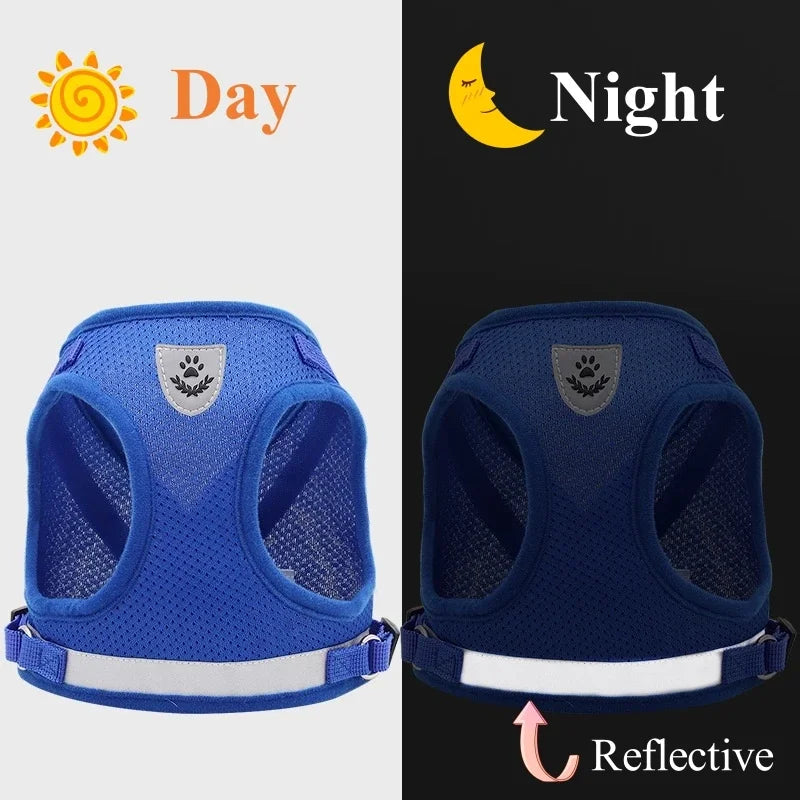 Adjustable Pet Dog Harness and Leash Set- Harness Vest for Dogs-Collars/Leashes