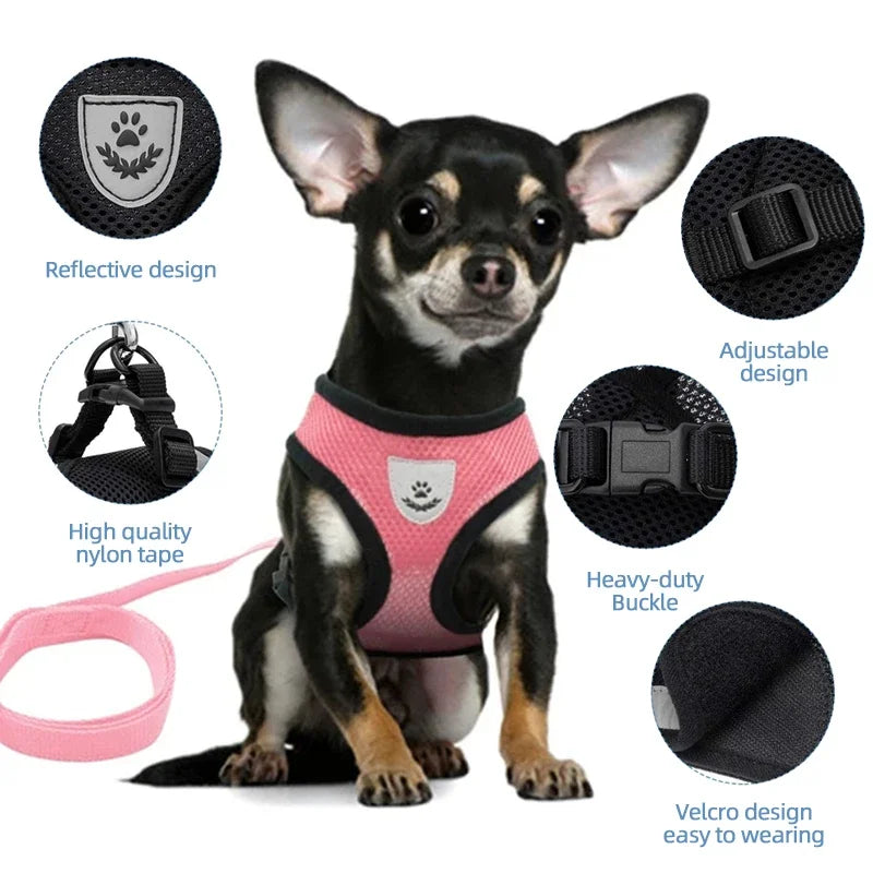 Dog Harness Walking Lead Leash-Polyester- Adjustable Mesh-sizes S to XL-Collars/Leashes