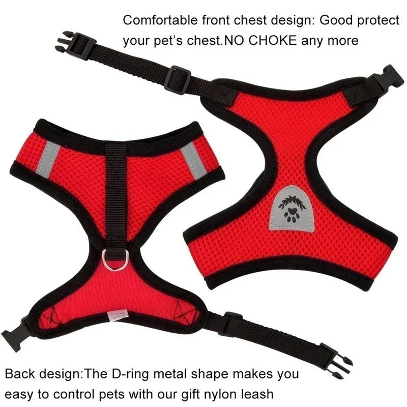 Dog Harness Walking Lead Leash-Polyester- Adjustable Mesh-sizes S to XL-Collars/Leashes