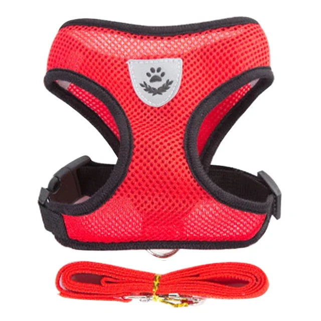 Dog Harness Walking Lead Leash-Polyester- Adjustable Mesh-sizes S to XL-Collars/Leashes