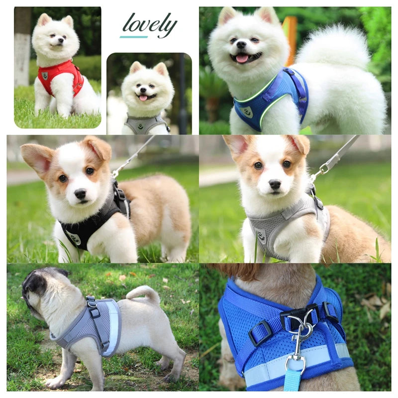 Adjustable Pet Dog Harness and Leash Set- Harness Vest for Dogs-Collars/Leashes