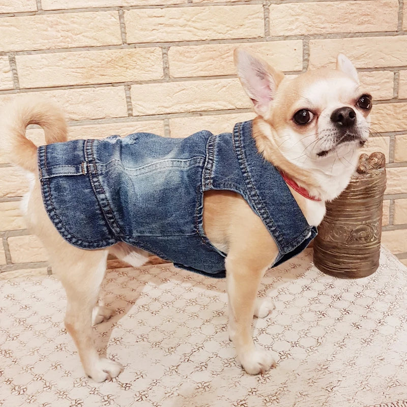 Retro Designer Dog Jeans Jackets Vest for Small Dogs- Handsome Denim Jacket- Durable- Sizes XS-XXL-Costumes/Apparel