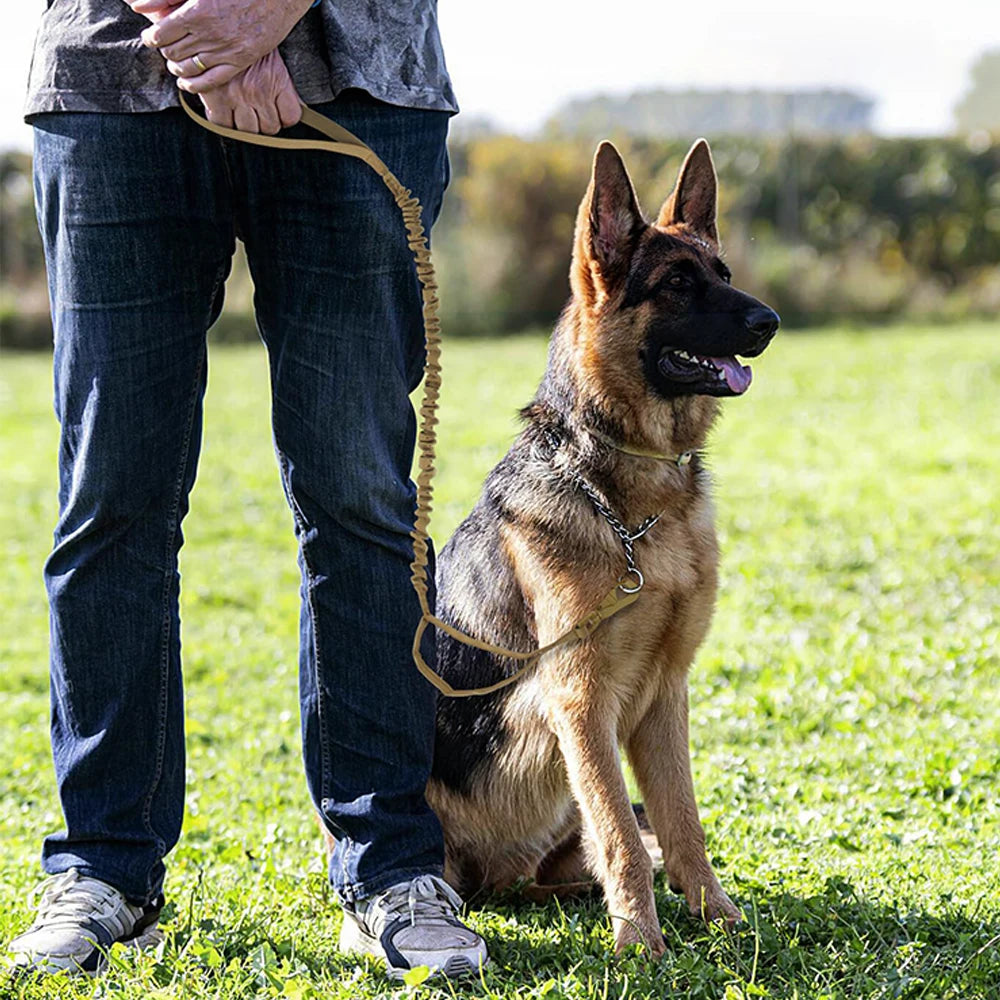 Military Dog Leashes- Adjustable Leash- Quick Release Elastic Rope With 2 Control Handle For Small/Medium Dogs-Collars/Leashes