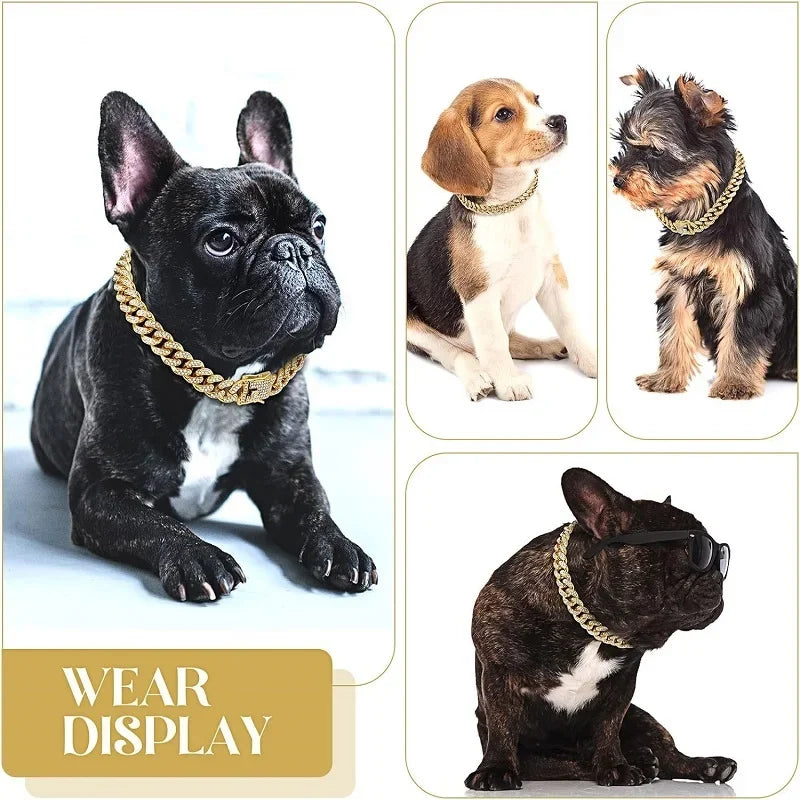 Dog Chain Collar- Luxury Gold Pet Metal Chain Collar-Sizes SML-Collars/Leashes