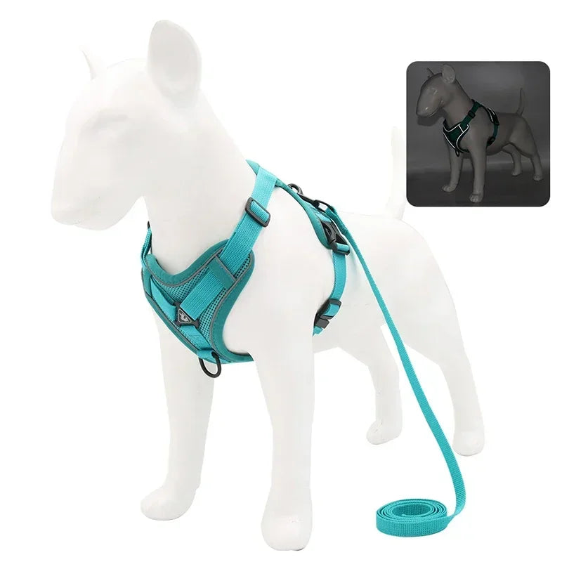 No Pull Dog Harness and Leash Set -Adjustable- Harness Vest- Sizes S to XL-Collars/Leashes
