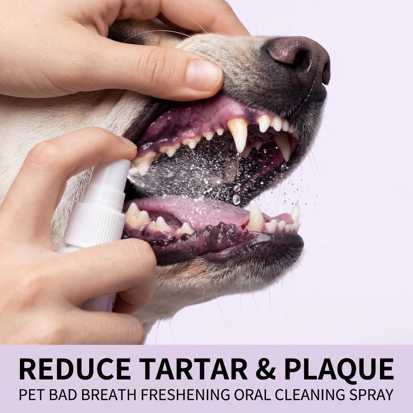Pet Deodorant Breath Spray-1pc Pet Bad Breath Eliminating Spray-Natural Ingredients Like Menthol Coconut Extract- Decompose Tooth Dirt Freshen Breath- Easy To Use-Pet Grooming