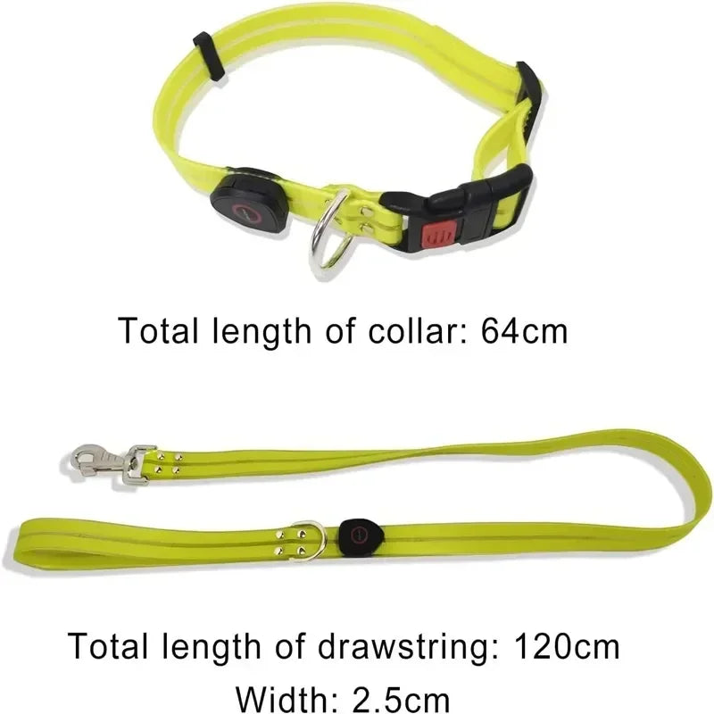 LED Light-Up Dog Leash- Walking- Safety- Glow in The Dark- USB Rechargeable- Adjustable- for Large Medium Small Pet Lighted Dog Collar