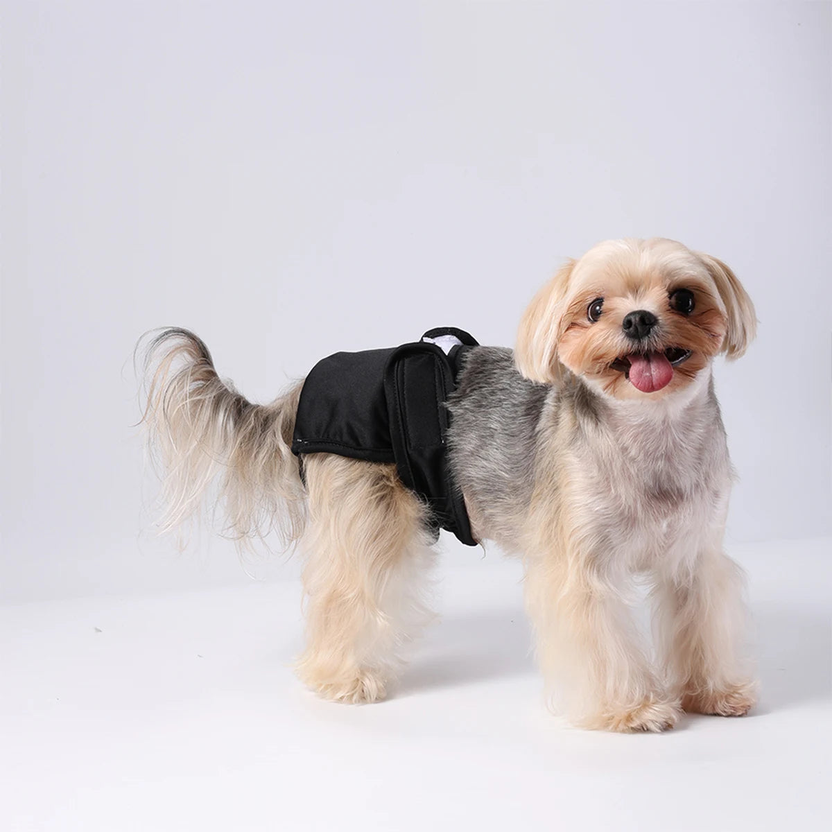 Washable Female Dog Diapers- Adjustable- Pet Physiological Pants- Reusable- Leakproof-Sizes XS-XL Dogs-Pet Grooming