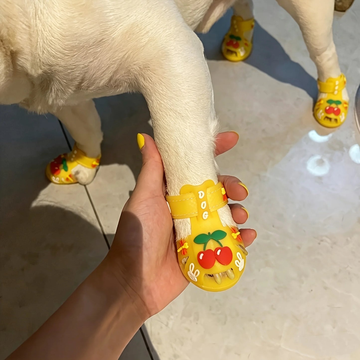 Small Dog Jelly Sandal Rain Shoes-Outdoor Sandals-Silicone Cool Shoes-Sizes 1-5-Costumes/Apparel