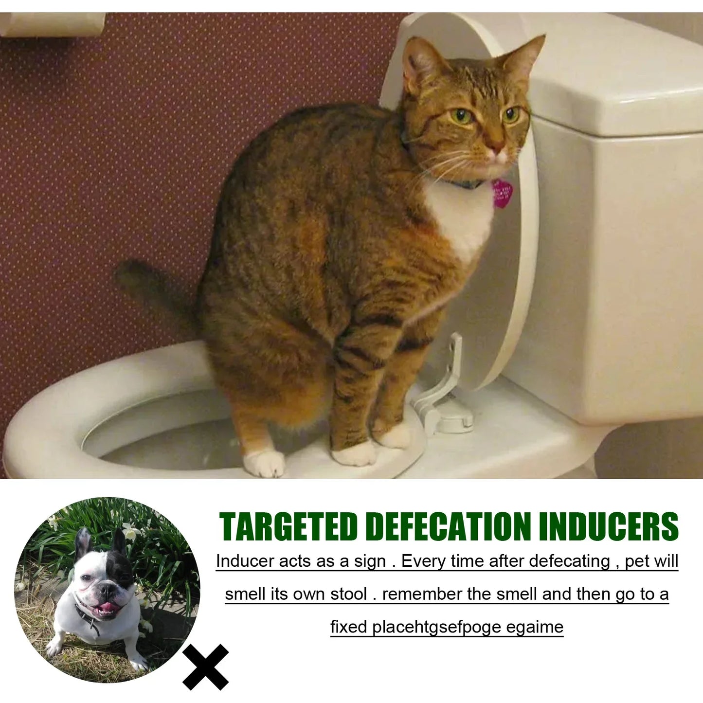 Toilet Training Spray-30ml- Induces Dog to go where you want- Urine Feces Positioning Trainer-Pet Grooming