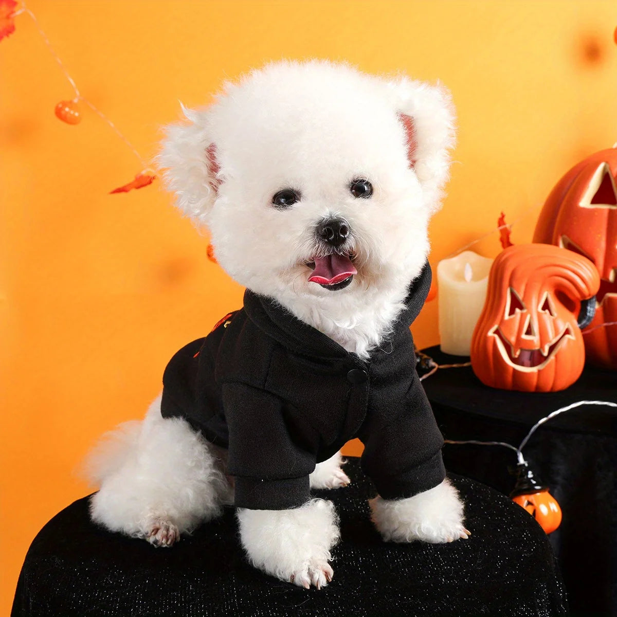 Thriller Season Halloween Sweater Pet Clothes Dog - English Embroidery- Traction Hoodie- Open Button Jacket-sizes XS-XL