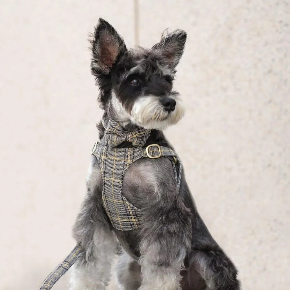 Cute Small Dog Harness Set- Adjustable Soft Plaid Pet Collar -Leash Bowtie Puppies Walking Parties- Comfort Durable Design